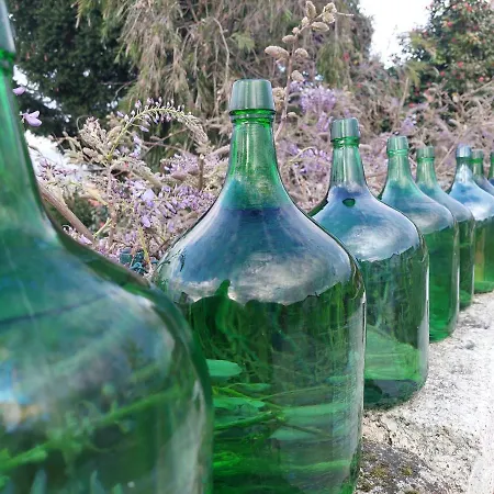 Casa Ameias مزرعة للإقامة