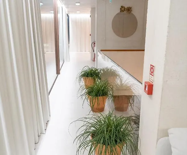 Séjour à la ferme Casa Ameias