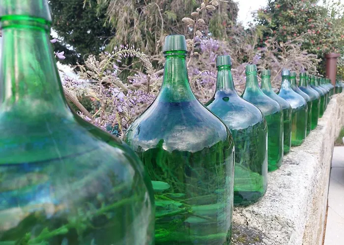 Casa Ameias Séjour à la ferme
